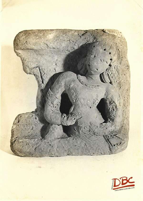 Female high relief sitting  Figure bunl nose terracotta