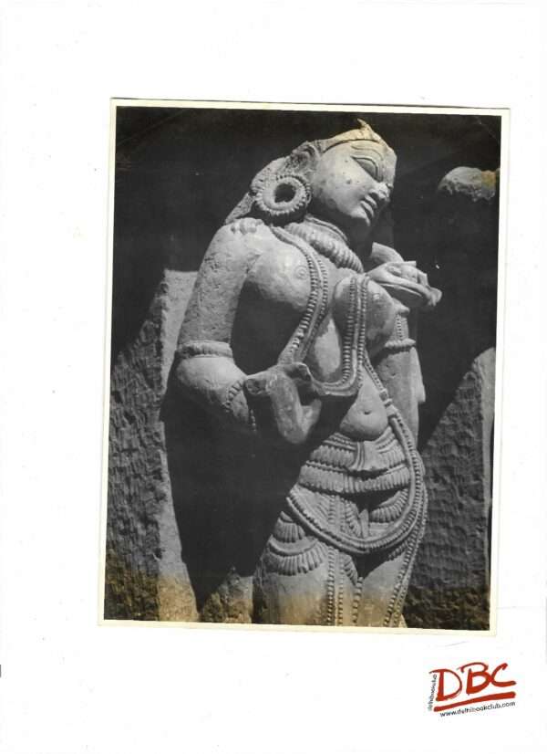 Jangir - Vishnu Temple - A Standing Female Figure